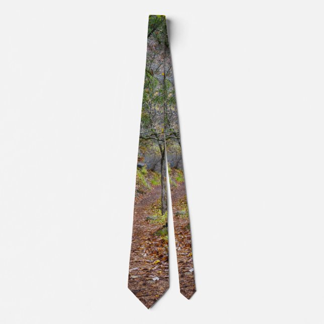 Alley Mill Autumn Walk Tie (Front)