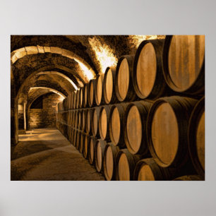 Alley of Barrels at the Winery Poster