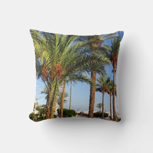 Alley of date palms in the city of Sharm El Sheikh Cushion (Front)