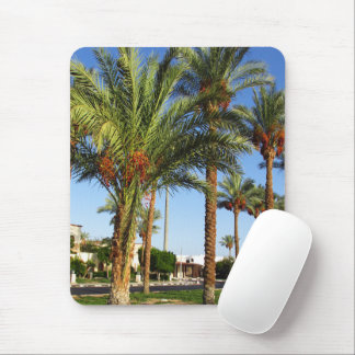 Alley of date palms in the city of Sharm El Sheikh Mouse Mat