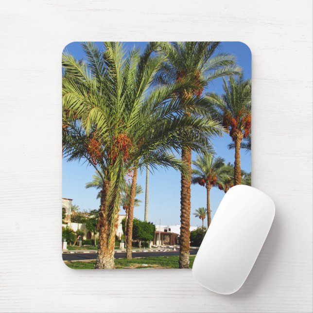 Alley of date palms in the city of Sharm El Sheikh Mouse Mat (With Mouse)