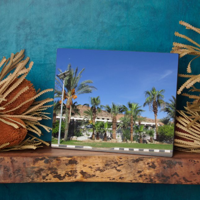 Alley of date palms plaque (Side)
