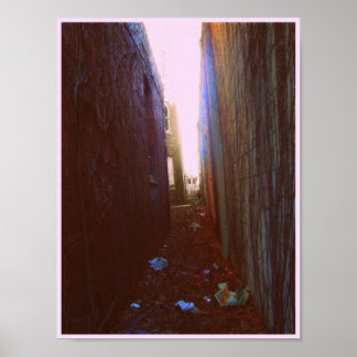 Alley Poster