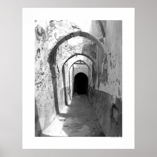 Alley Poster (Front)