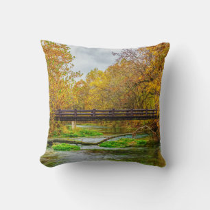 Alley Spring River Cushion