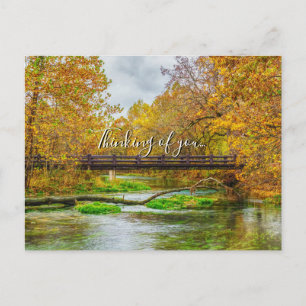 Alley Spring River Thinking Of You Postcard