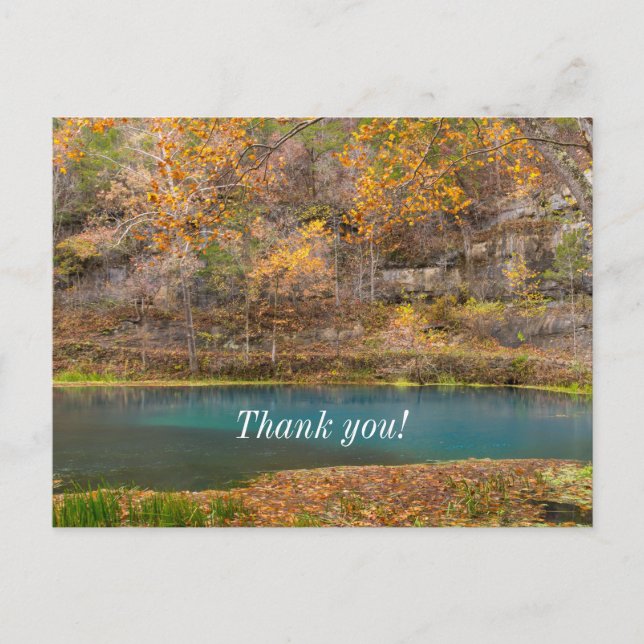 Alley Spring View Thank You Postcard (Front)