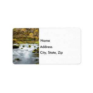 Alley Springs Rapids Label