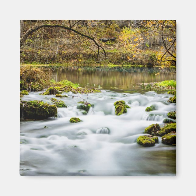Alley Springs Rapids Magnet (Front)