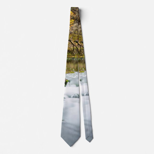 Alley Springs Rapids Neck Tie (Front)