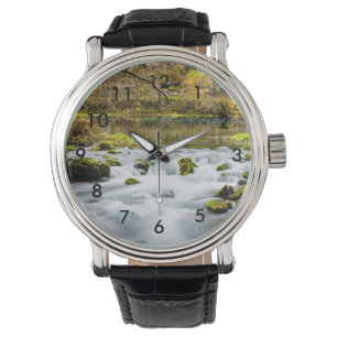 Alley Springs Rapids Watch
