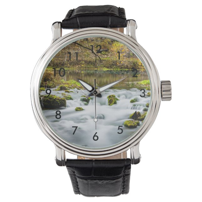 Alley Springs Rapids Watch (Front)