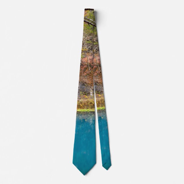 Alleys Blue Spring Neck Tie (Front)