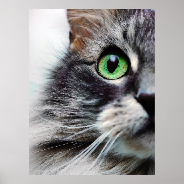 Allie (Half Face) Poster (Front)