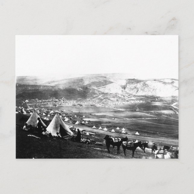 Allied Encampment, Crimea, c.1855 Postcard (Front)