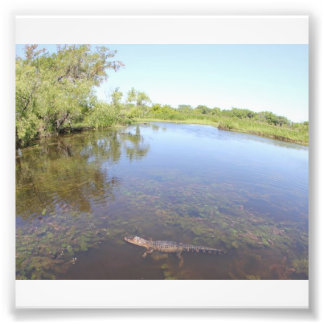 Alligator Alley Photo Print