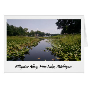 Alligator Alley - Pine Lake