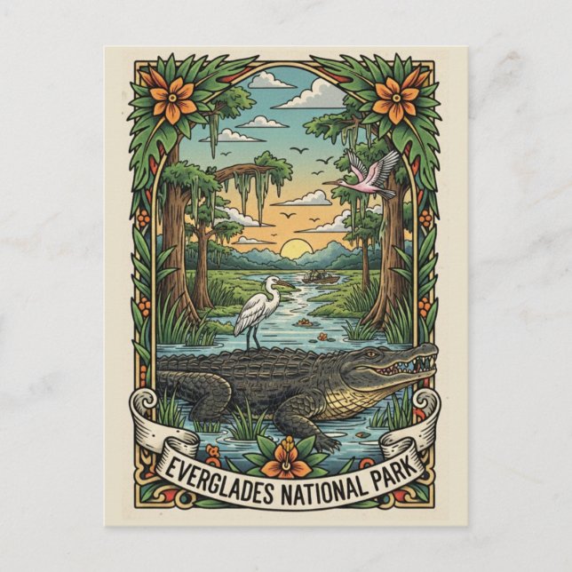 Alligator and Airboat Everglades National Park Postcard (Front)