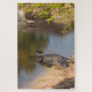 Alligator and Carrao bird In Florida wetlands Jigsaw Puzzle