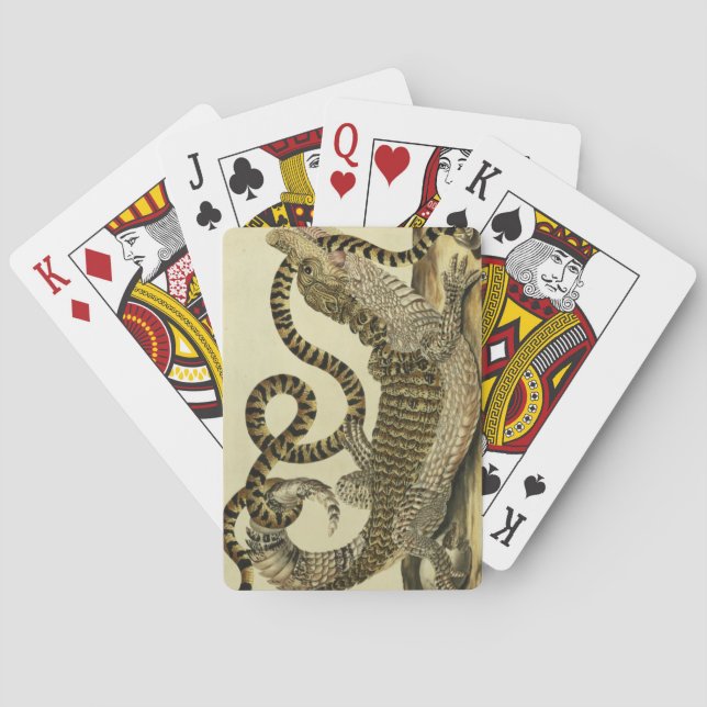 Alligator and Snake, 1730 (colored engraving) Playing Cards (Back)