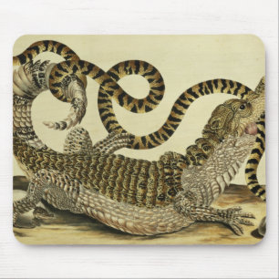 Alligator and Snake, 1730 (coloured engraving) Mouse Mat