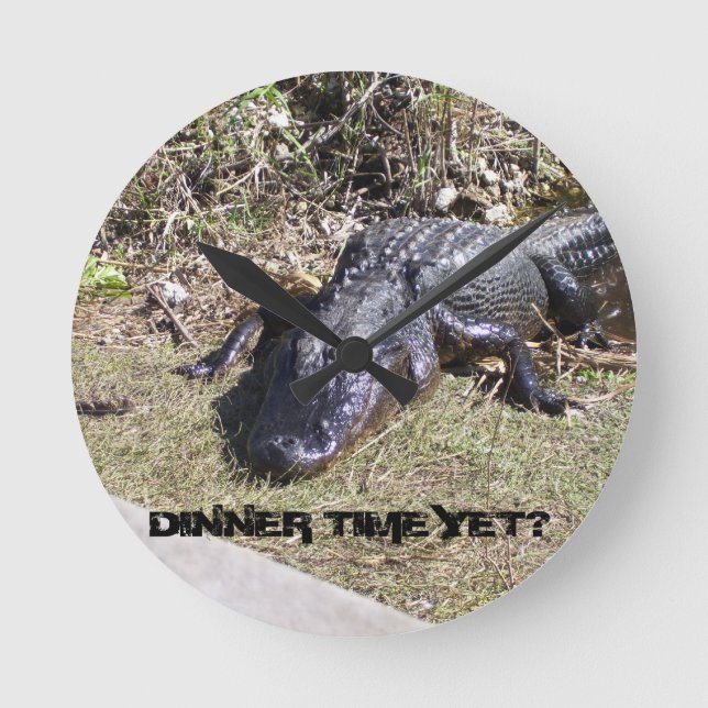Alligator Asking About Dinner in Sunlit Everglades Round Clock (Front)