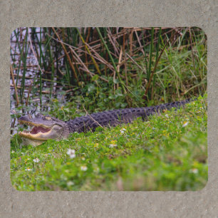 Alligator at Florida Wetlands Photograph Mouse Mat
