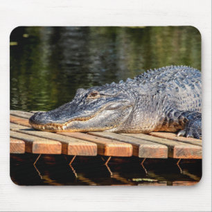 Alligator at Homosassa Springs Wildlife State Park Mouse Mat