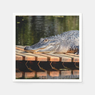 Alligator at Homosassa Springs Wildlife State Park Napkin