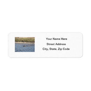Alligator at Riverbank Personalise Return Address