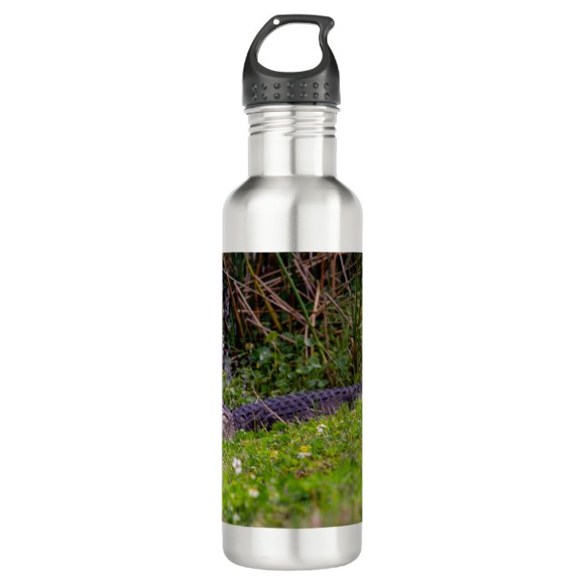 Alligator at Viera Wetlands Florida Photo 710 Ml Water Bottle (Front)