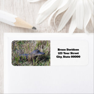 Alligator Baby Cute Personalise Return Address