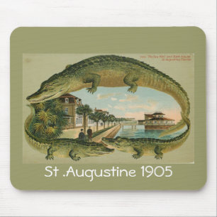 Alligator Border St Augustine Florida 1905, St ... Mouse Mat