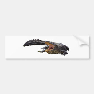 Alligator Bumper Sticker