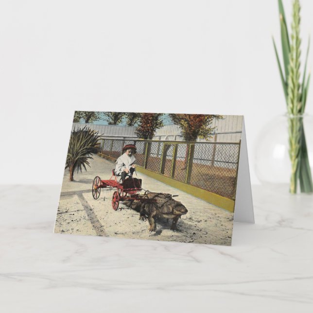 Alligator Cart Card (Front)