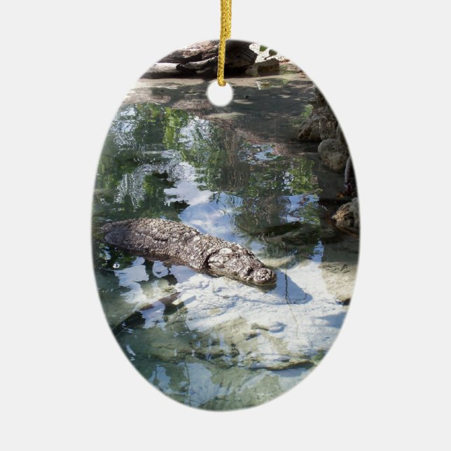 Alligator Ceramic Tree Decoration (Front)