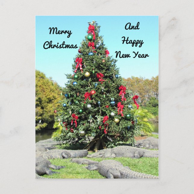 Alligator Christmas Postcard (Front)