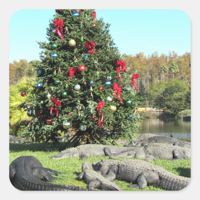 Alligator Christmas Stickers (Front)