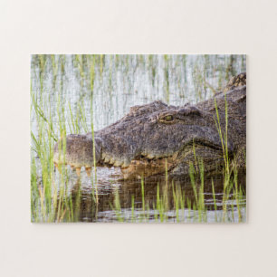 Alligator Crocodiles Wildlife Africa Jigsaw Puzzle