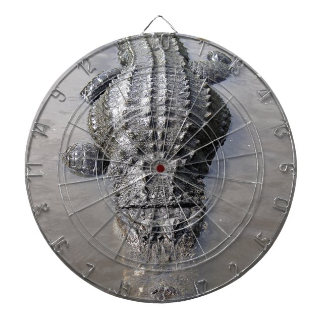 Alligator Dartboard (Front)