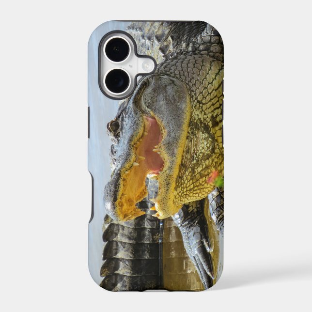 Alligator. Face to face (Back)