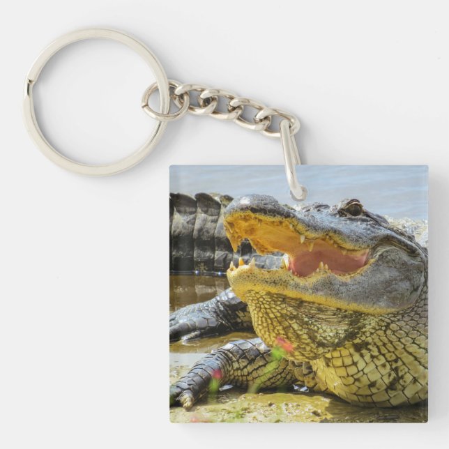 Alligator. Face to face Key Ring (Front)