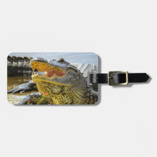 Alligator. Face to face Luggage Tag