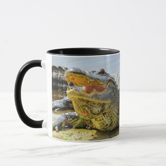 Alligator. Face to face. Mug (Left)