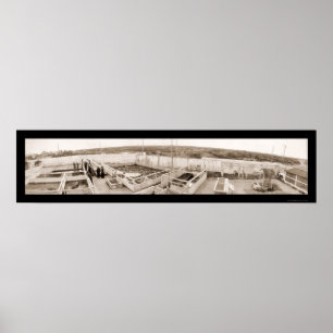 Alligator Farm Florida Photo 1910 Poster