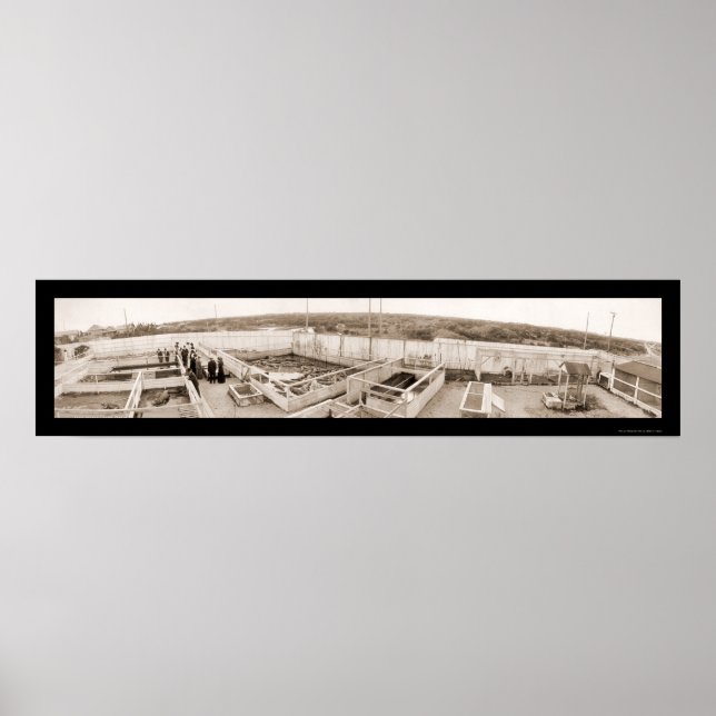 Alligator Farm Florida Photo 1910 Poster (Front)