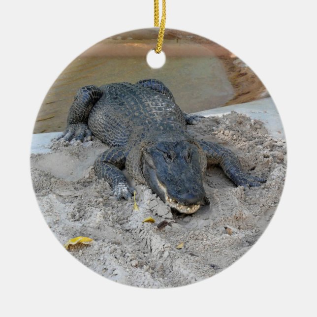 Alligator, Fort Lauderdale, Florida Ceramic Tree Decoration (Front)