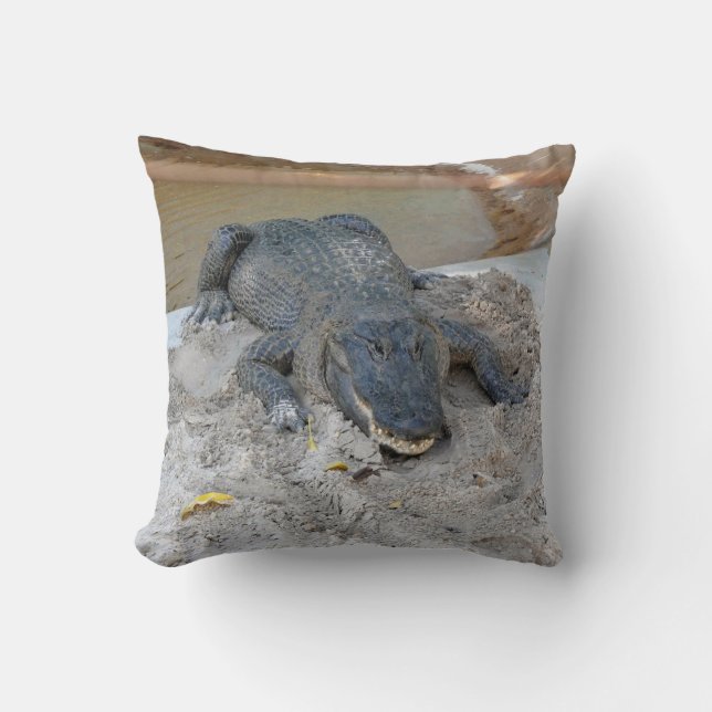 Alligator, Fort Lauderdale, Florida Cushion (Front)