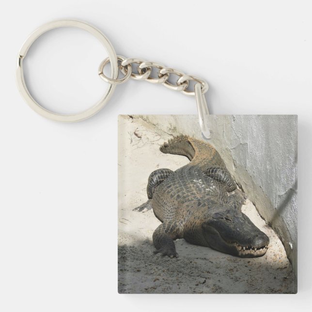 Alligator, Fort Lauderdale, Florida Key Ring (Front)