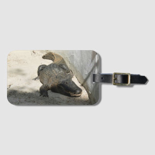 Alligator, Fort Lauderdale, Florida Luggage Tag